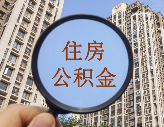 东莞我的个人公积金查询（东莞公积金查询 个人 余额查询）